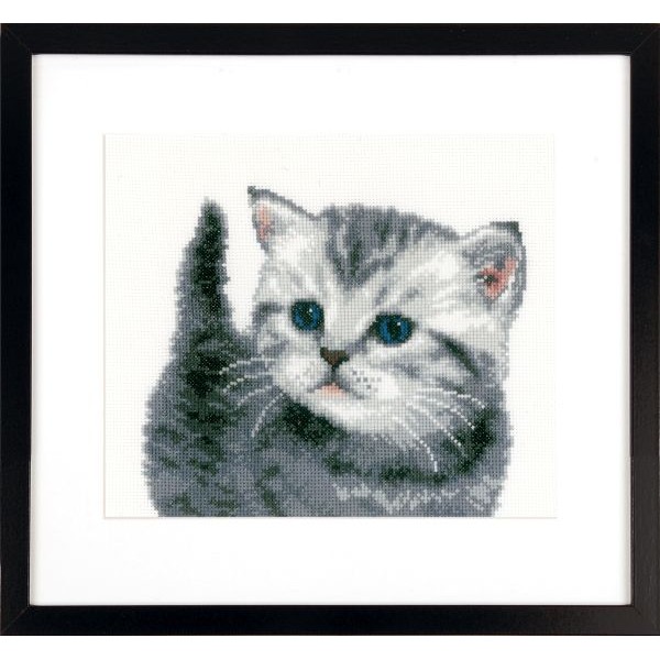 Kit De Broderie Chaton Gris Borduurpakketten Belgie Vlug Geleverd Grote Keuze Kit De Broderie Chaton Gris Borduurpakketten Belgie Vlug Geleverd Grote Keuze