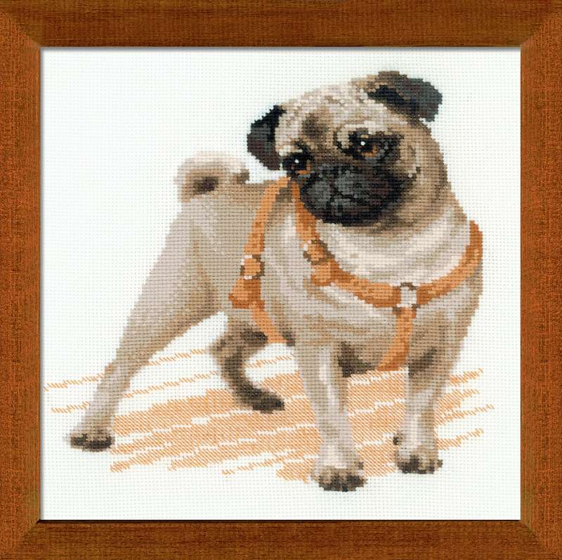 Kit de broderie Chien Carlin