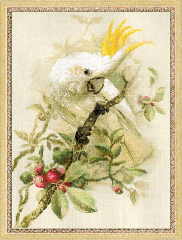 Kit de broderie Blanc Cockatoo