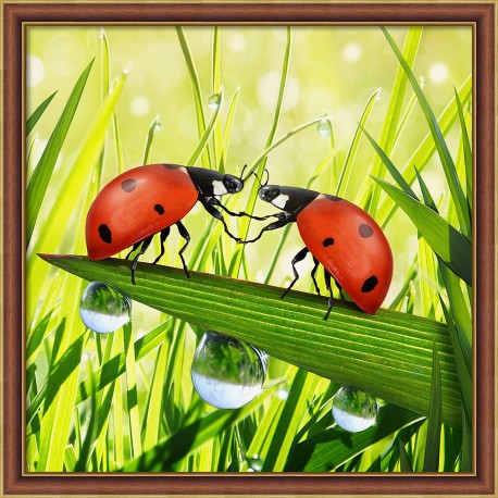 Diamond Painting Couple coccinelles 