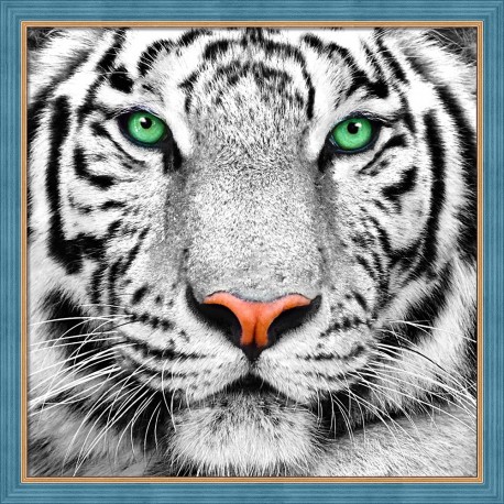 Diamond Painting Tigre aux yeux verts