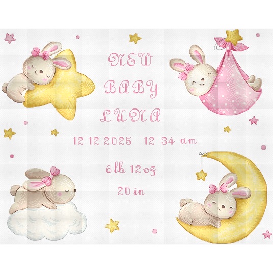 Borduurpakket Letistitch Baby Girl Record L9943