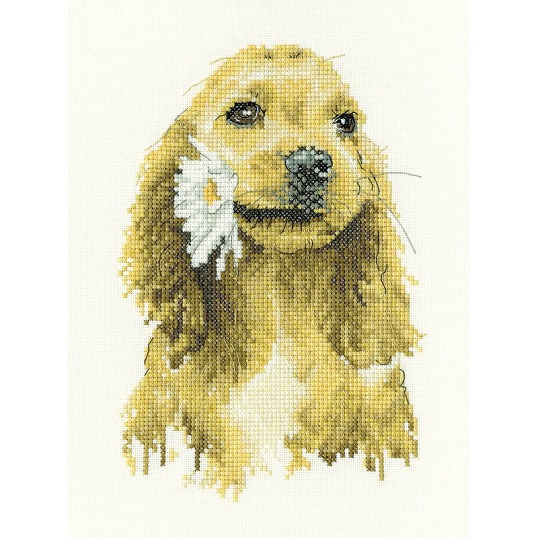 Borduurpakkket Heritage Crafts Daisy Cocker Spaniel HC-1896A