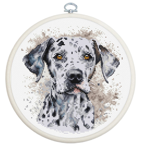 Kit de broderie Dalmatien