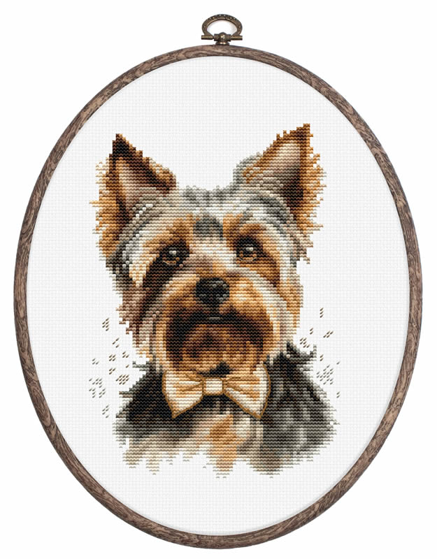 Kit de broderie Yorkshire Terrier