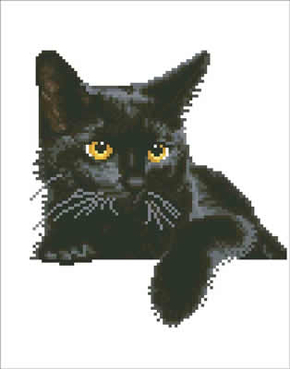 Diamond Painting Midnight Cat