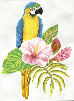 Hibiscus Macaw