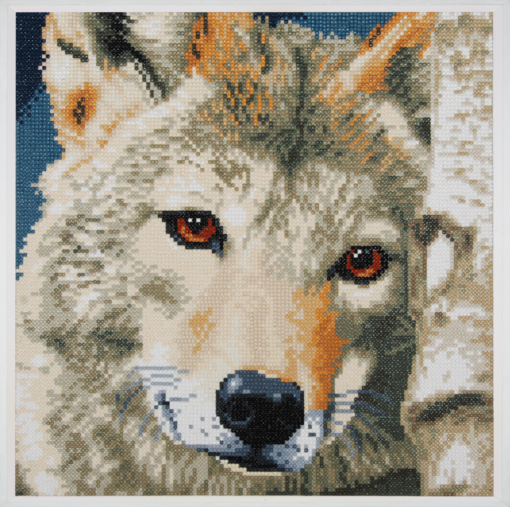 Diamond Painting Wolf II Borduurpakketten België Vlug geleverd