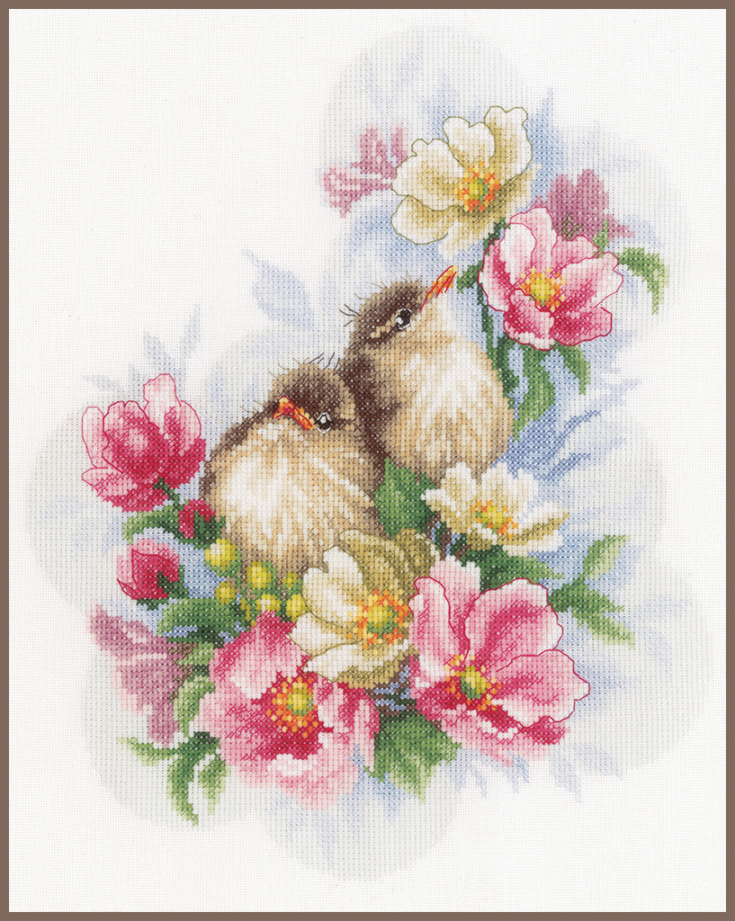 Kit de Broderie Oiseaux sur une Branche