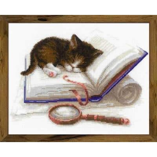 Kit de broderie Chaton sur le Livre