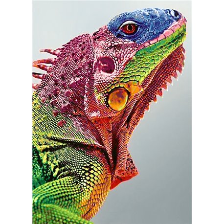 Diamond Painting Iguane