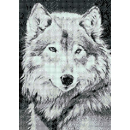 Diamond Painting Wolf