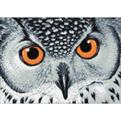 Diamond Painting Tête de Hibou