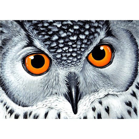 Diamond Painting Tête de Hibou