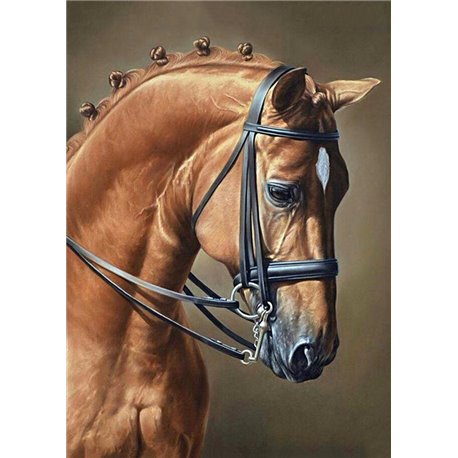 Diamond Painting Cheval élégant