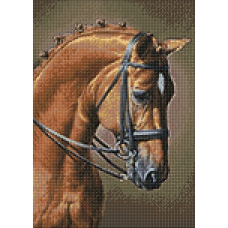 Diamond Painting Cheval élégant