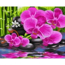 images/productimages/small/b081b.jpg