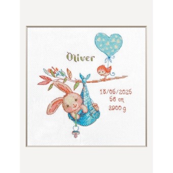 Borduurpakket Aine Boy Birth Sampler A1028