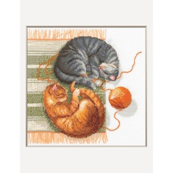 Borduurpakket Aine 'Cats and Threads' A1035