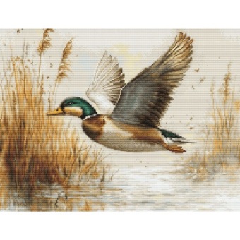 Borduurpakket Luca-S 'Golden Flight' B730
