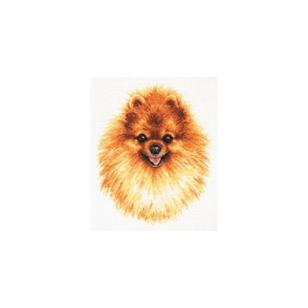Borduurpakket Magic Needle 'Pomeranian' 59-22