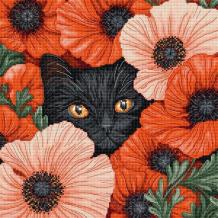 Borduurpakkket Letistitch Poppy Eyes L9949