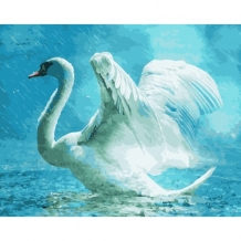 images/productimages/small/h002b.jpg