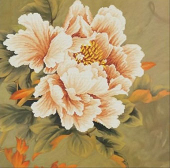 Blooming Peony 1