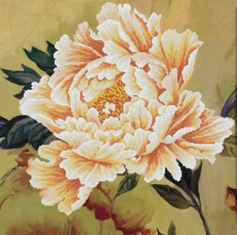 Blooming Peony 2