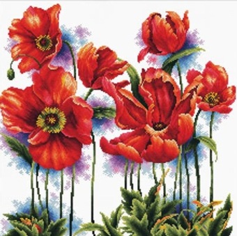Lovely Poppies