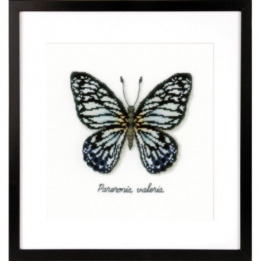 Kit de Broderie Papillon bleu