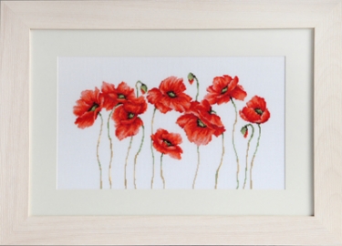 Kit de broderie Coquelicots