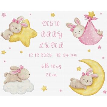 Borduurpakket Letistitch Baby Girl Record L9943
