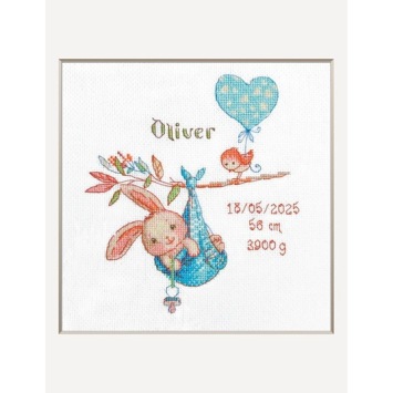 Borduurpakket Aine Boy Birth Sampler A1028