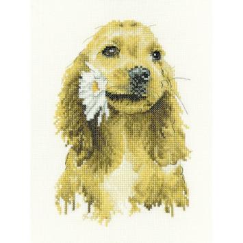 Borduurpakkket Heritage Crafts Daisy Cocker Spaniel HC-1896A