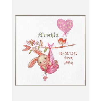 Borduurpakket Aine Girl Birth Sampler A1029