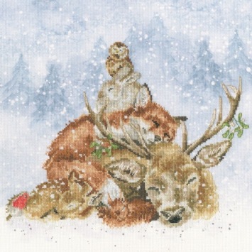 Borduurpakket Bothy Threads 'Comfort and Joy' XHD157