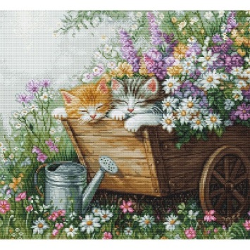 Borduurpakket Luca-S Kittens' Sleep BU5093