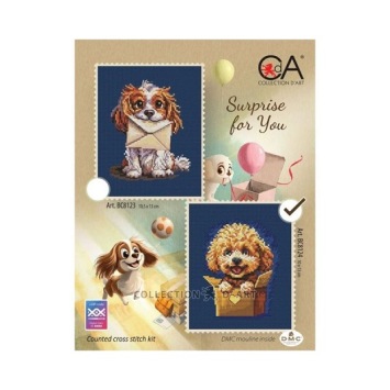Borduurpakket Surprise for You II