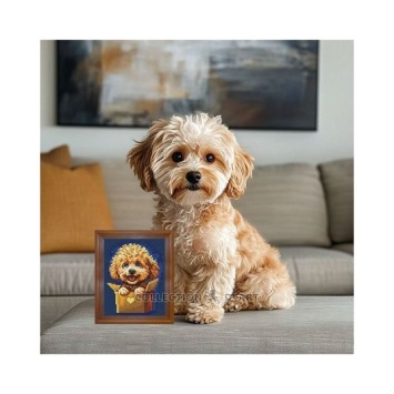 Borduurpakket Surprise for You II