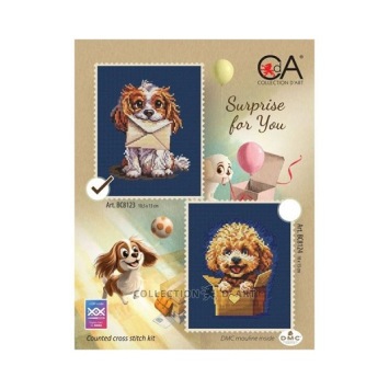 Borduurpakket Surprise for You