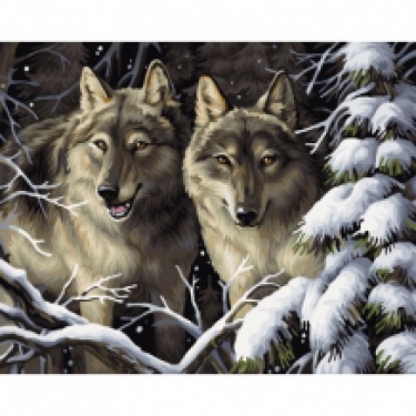 P.B.N. loups dans la Neige