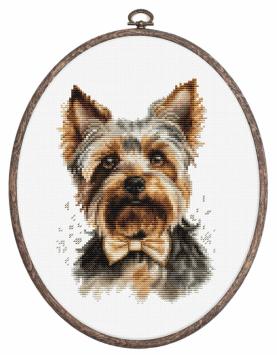 Borduurpakket Yorkshire Terrier