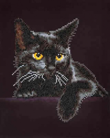 Diamond Painting Midnight Cat
