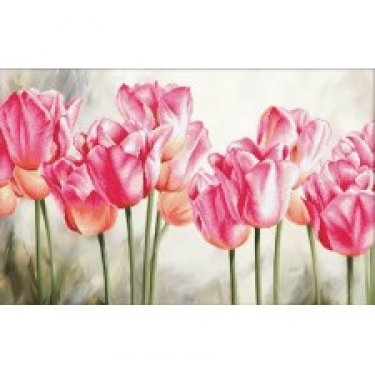 Pink Tulips