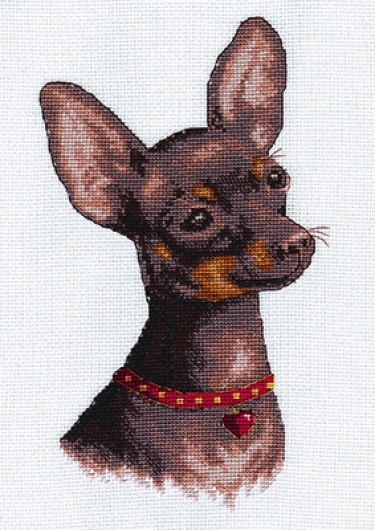 Kit de broderie Chihuahua