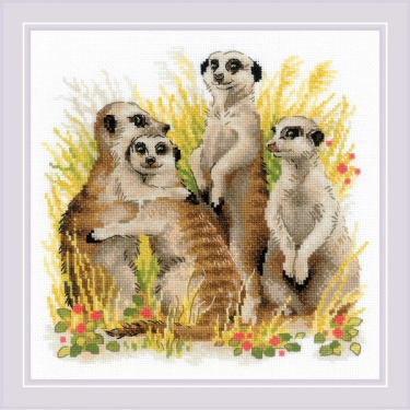 Kit de broderie Suricates