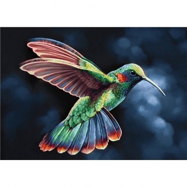 Diamond Painting Colibri