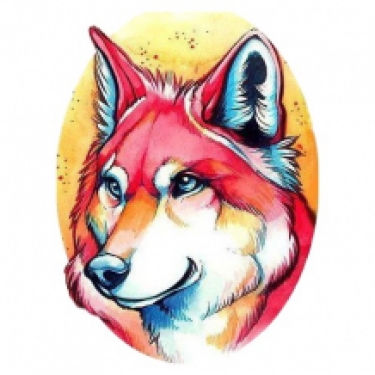 Diamond Painting Renard Coloré