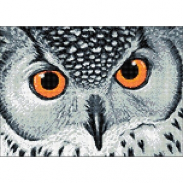 Diamond Painting Tête de Hibou